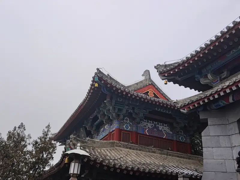 洛阳 · 09